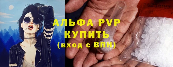 индика Переславль-Залесский