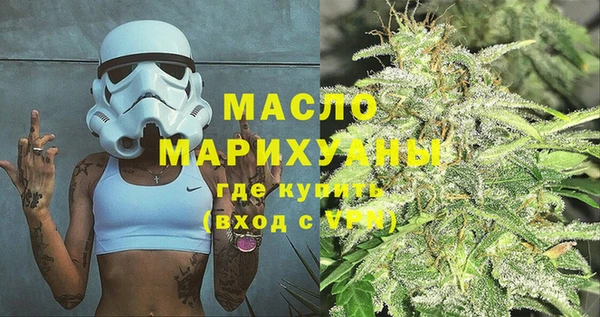 индика Переславль-Залесский