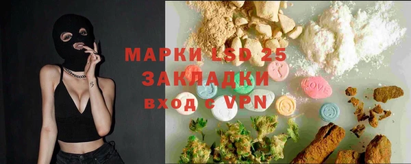 индика Переславль-Залесский