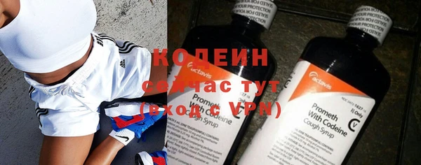 индика Переславль-Залесский