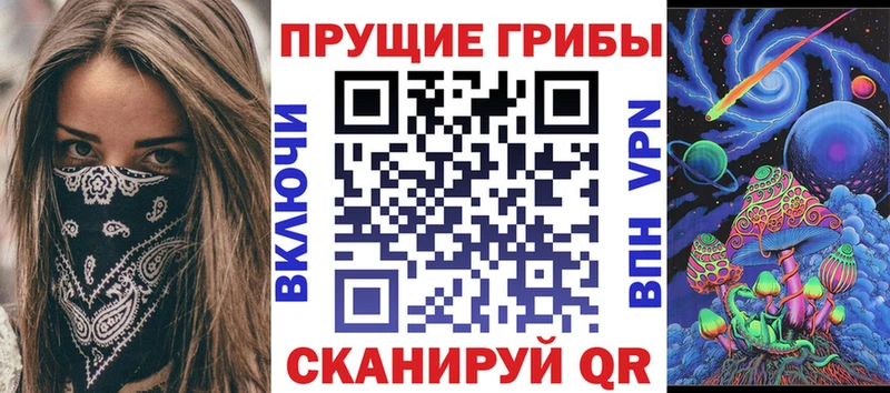 Купить где  Ликино-Дулёво  Псилоцибиновые грибы мицелий 